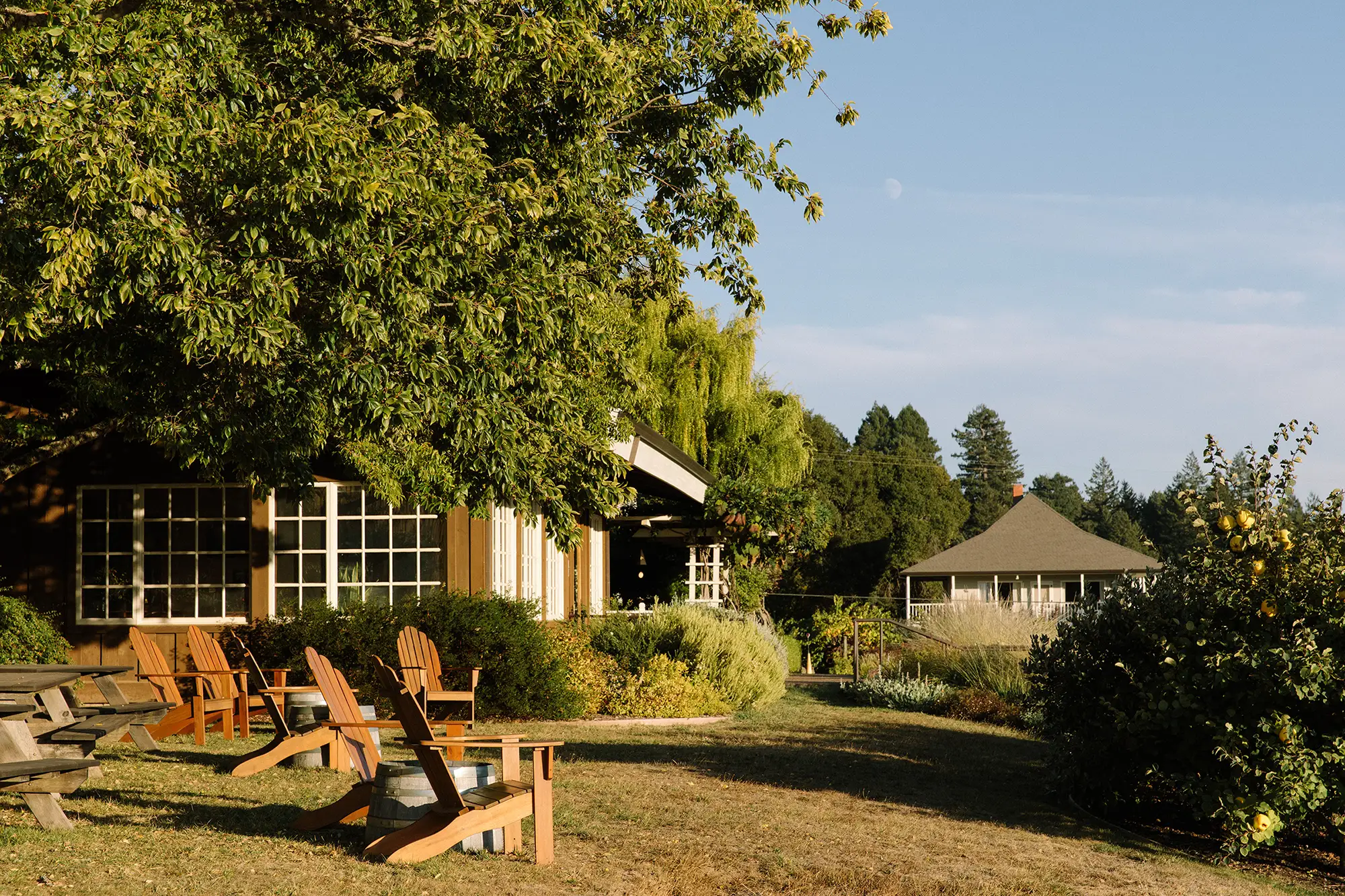 Handley Cellars picnic area with adirondack chairs