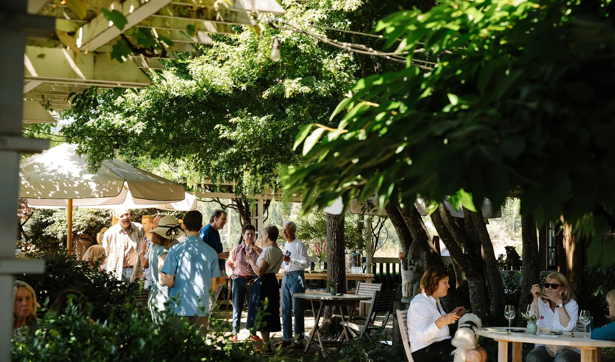 Handley Cellar Club members gathering at the winery
