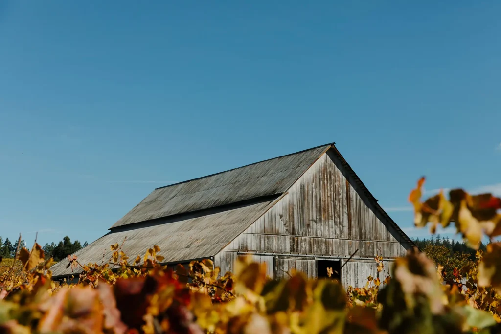 a barn at the Handley Cellars winery