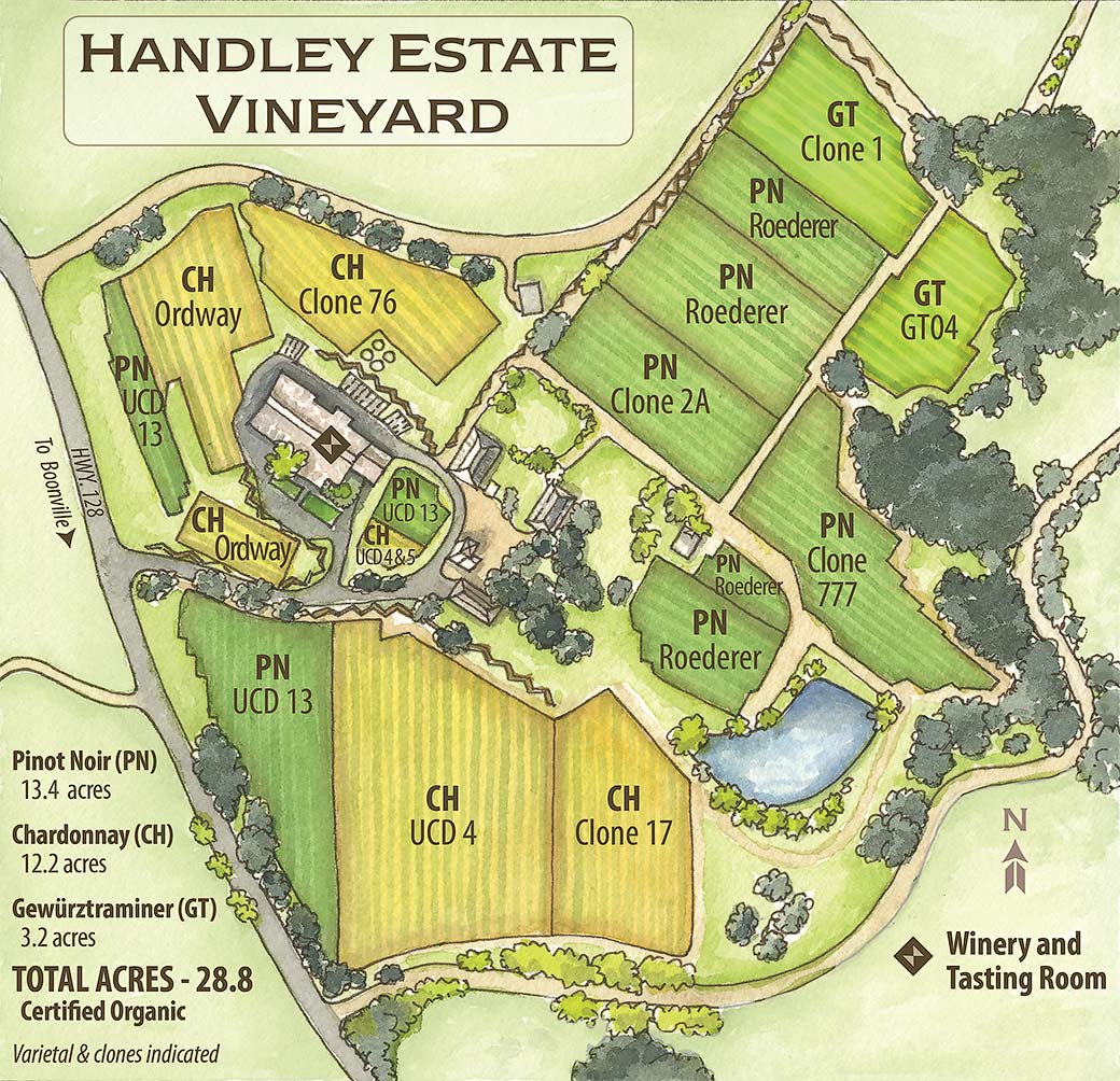 Handley Estate Vineyard map